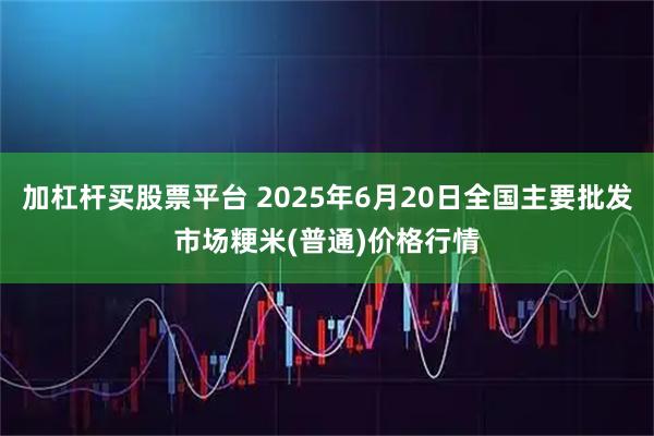加杠杆买股票平台 2025年6月20日全国主要批发市场粳米(普通)价格行情
