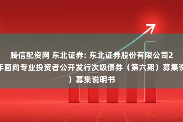 腾信配资网 东北证券: 东北证券股份有限公司2025年面向专业投资者公开发行次级债券（第六期）募集说明书